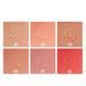 Румяна для лица Parisa Cosmetics Base 4U B705 02 Розовый матовый