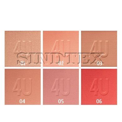 Румяна для лица Parisa Cosmetics Base 4U B705 06 Терракотовый матовый