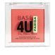 Румяна для лица Parisa Cosmetics Base 4U B705 06 Терракотовый матовый